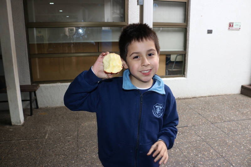 Día de la Actividad Física